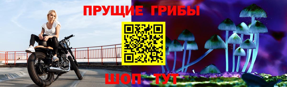 Галлюциногенные грибы Magic Shrooms  Галлюциногенные грибы GOLDEN TEACHER  Вход с VPN  Рассказово 
